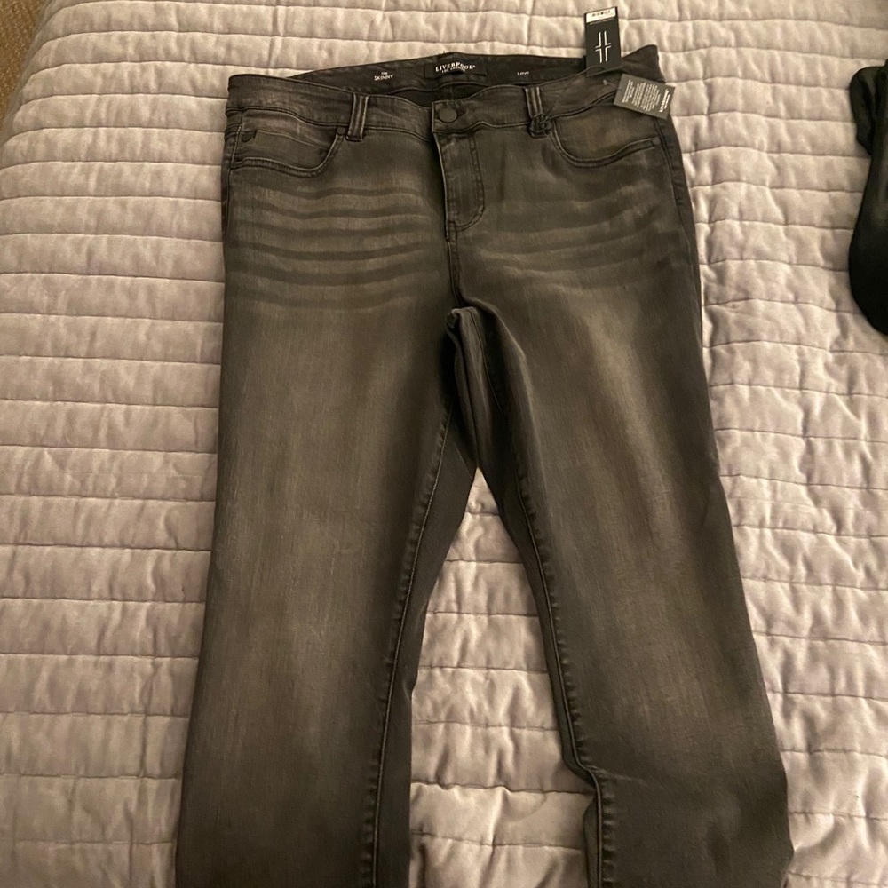 Brand New NBW Plus Size Skinny Jeans